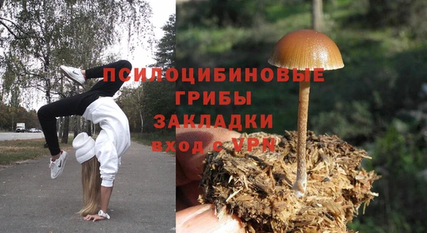 трава Дмитриев