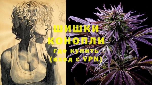 трава Дмитриев