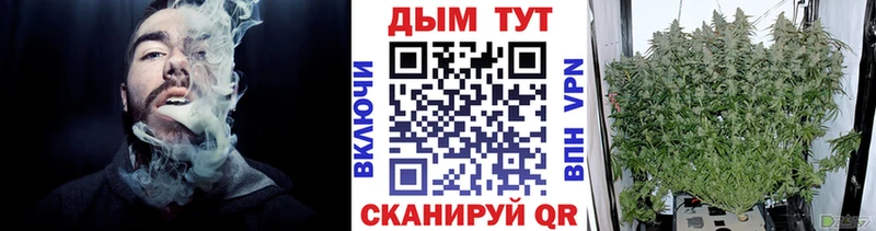 Шишки марихуана конопля Якутск